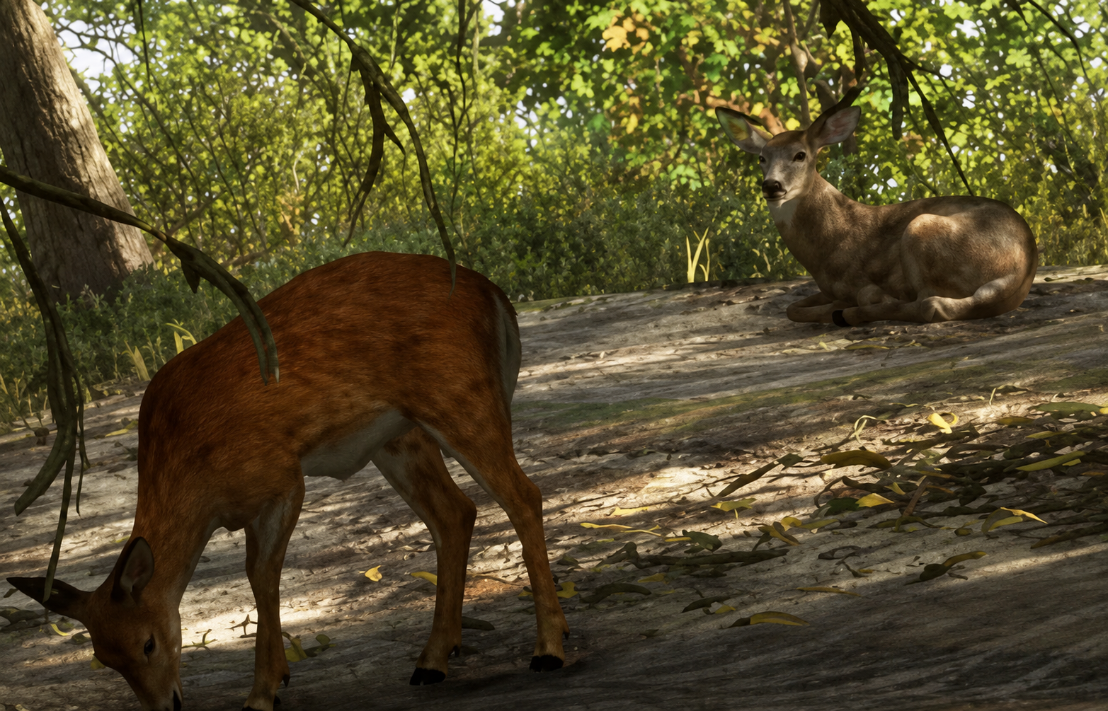 Deer - Land Animal image 1 of 4 in GTA 6
