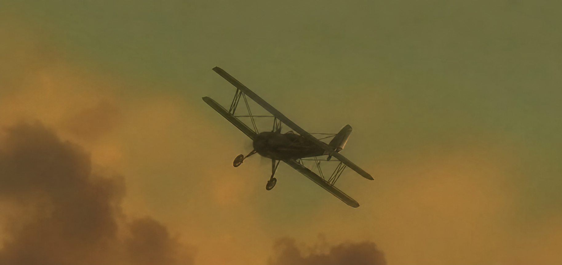 Duster - Planes image 14 of 14 in GTA 6