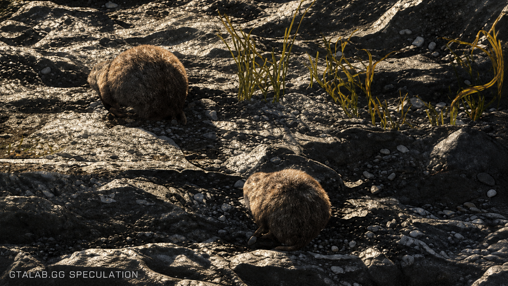 Beaver - Mammal image 1 of 2 in GTA 6
