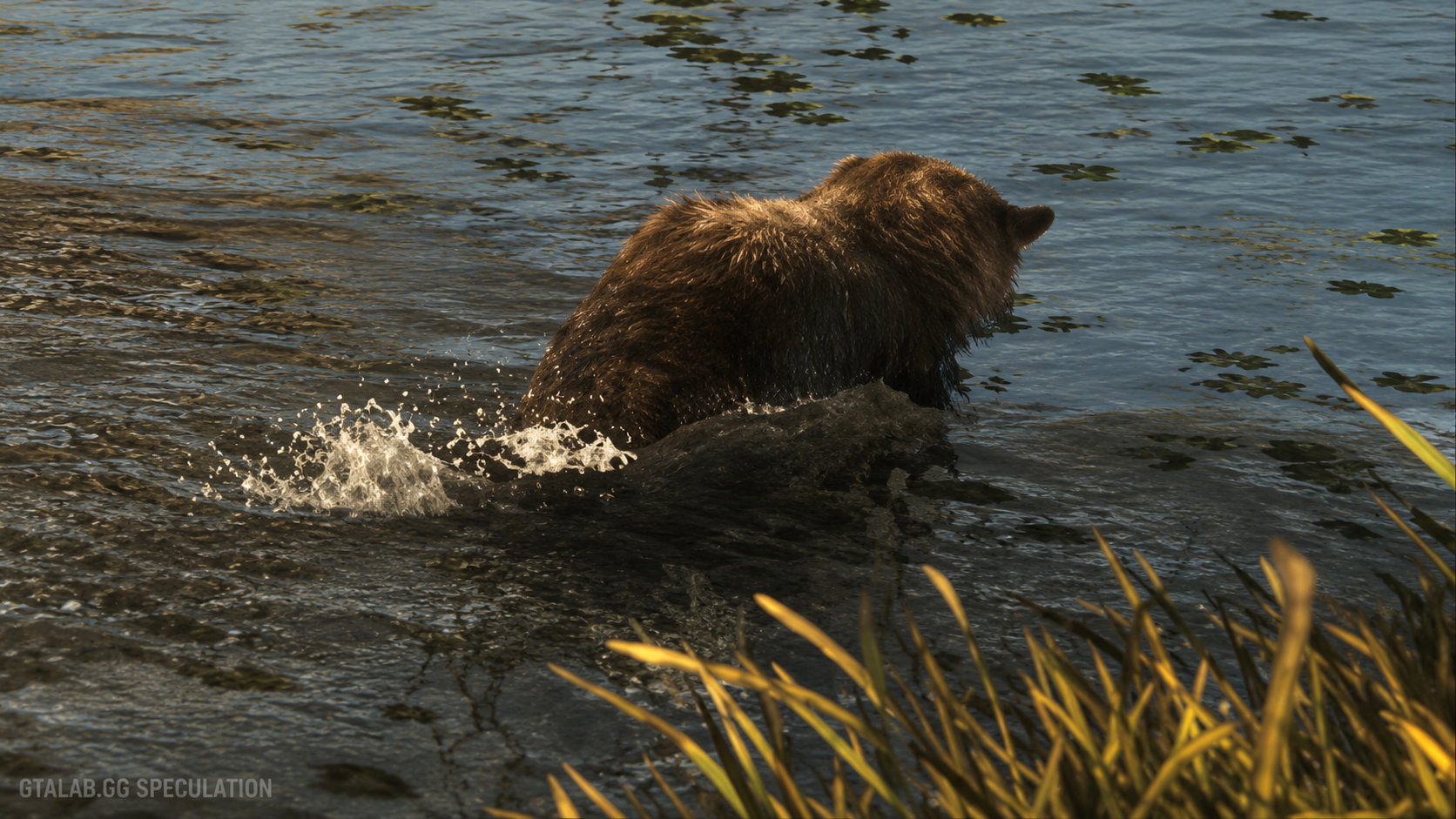 Boar - Mammal image 1 of 2 in GTA 6