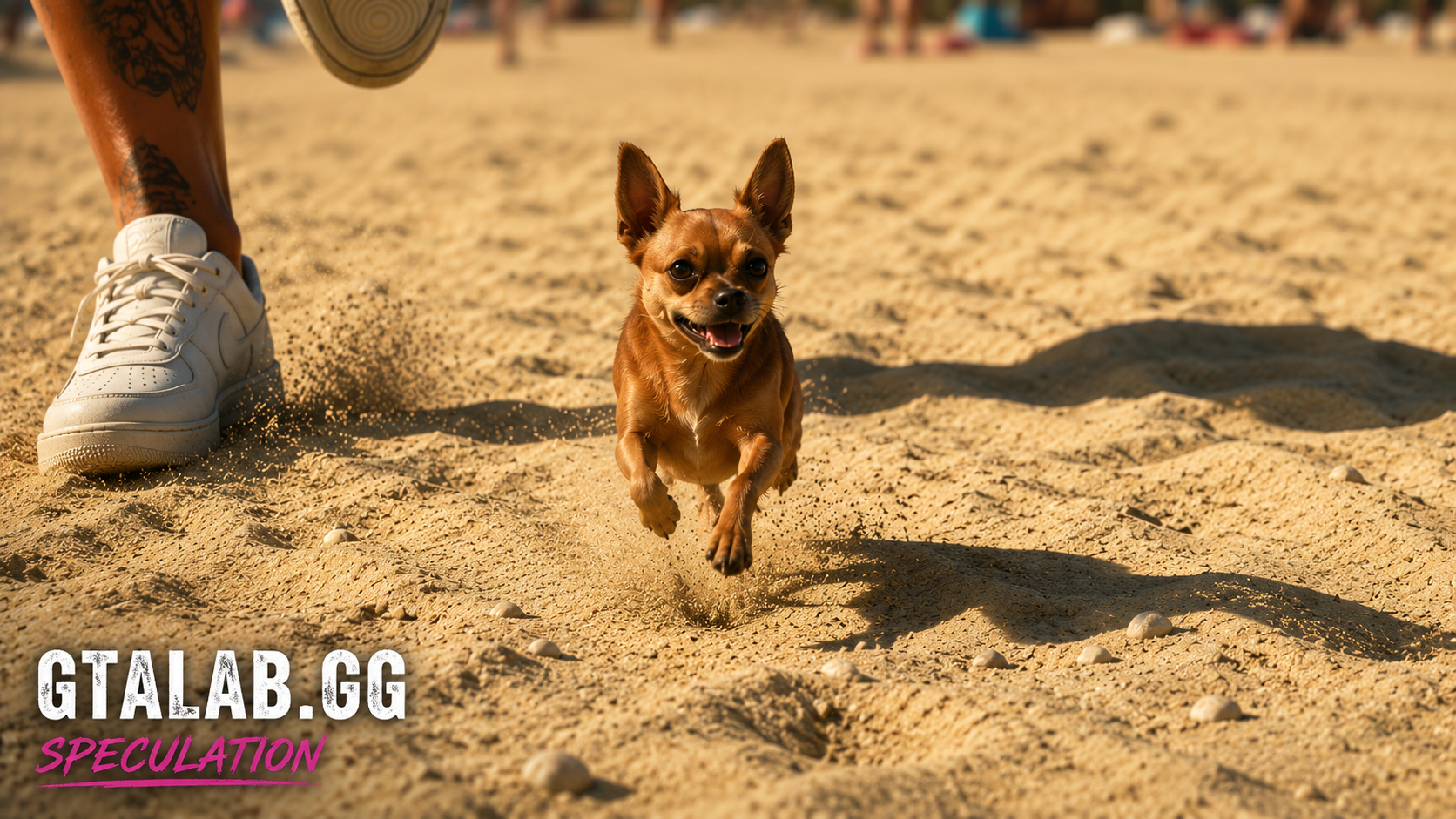 Chihuahua - Mammal image 1 of 3 in GTA 6
