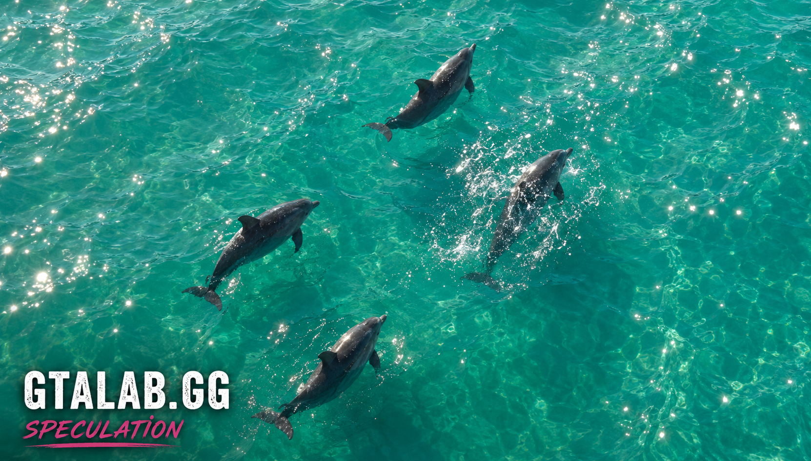 Dolphin - Sea Creature image 1 of 3 in GTA 6