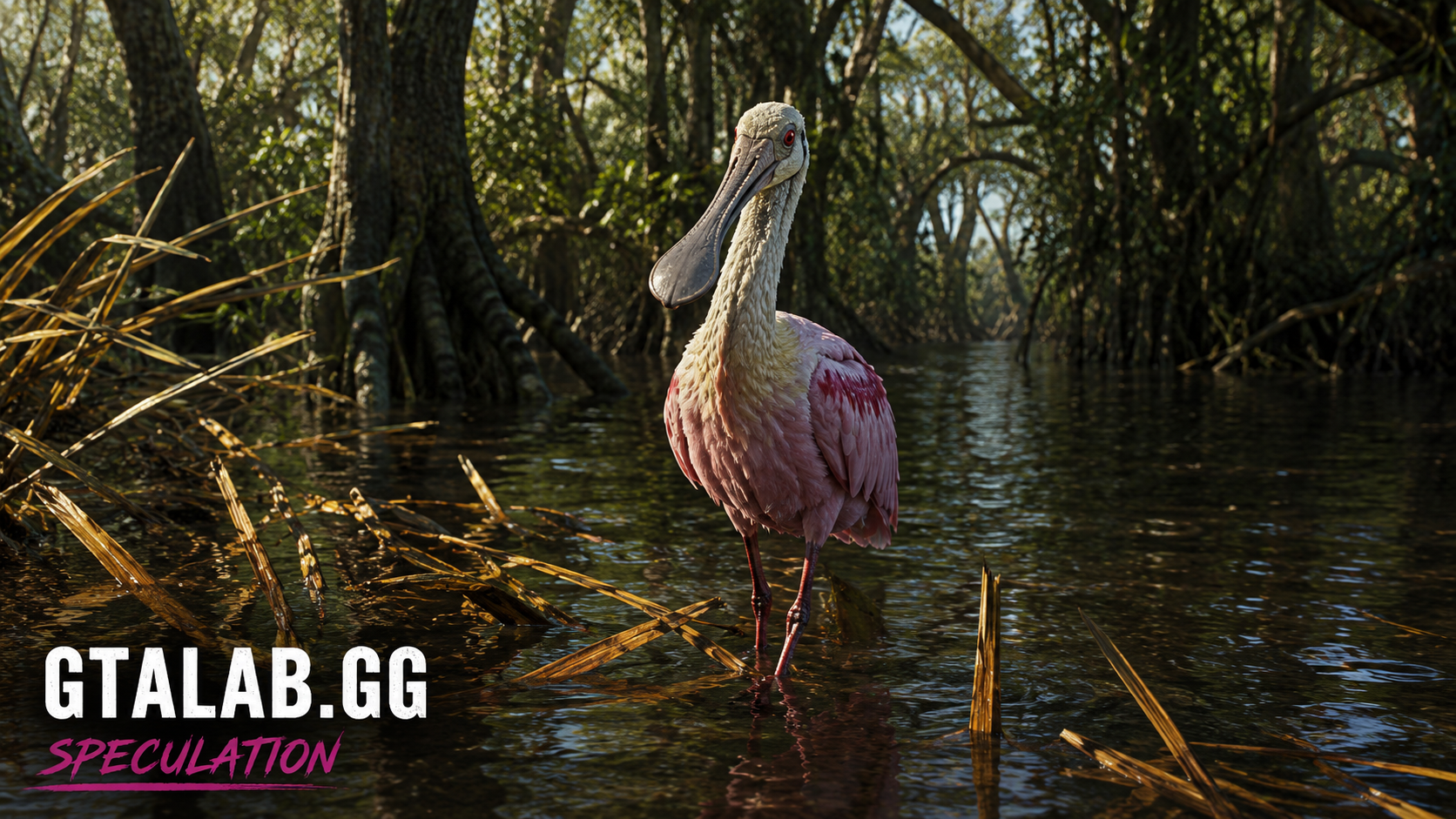 Spoonbill - Bird image 1 of 2 in GTA 6