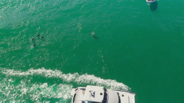 GTA 6 official screenshot — Trailer 1 · 0:11 — Vice Beach