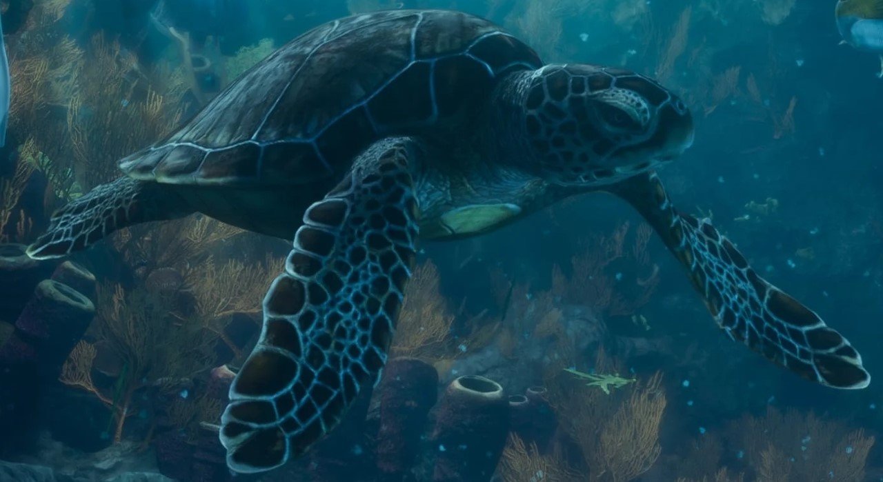 Sea Turtle - Sea Creature image 7 of 7 in GTA 6
