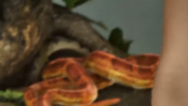 Snake - Reptile image 1 of 2 in GTA 6