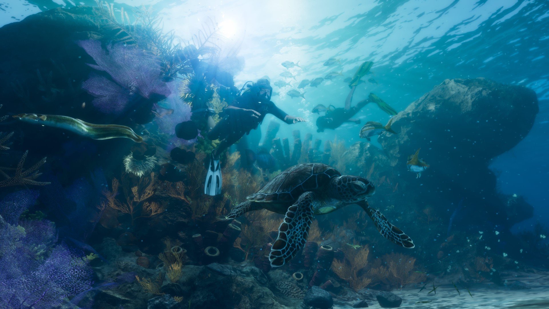 Sea Turtle - Sea Creature image 2 of 3 in GTA 6