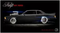 Tulip M-100 - Muscle image 14 of 20 in GTA 6